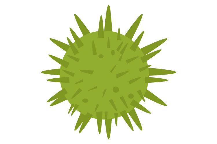 疫情期間需求依舊穩(wěn)定 Salesforce上調(diào)全年收入展望