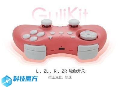 NS58 精靈2 手柄 中文-10