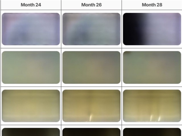 兩年多實測100款LCD、OLED電視！模擬10年使用時間：結果慘不忍睹